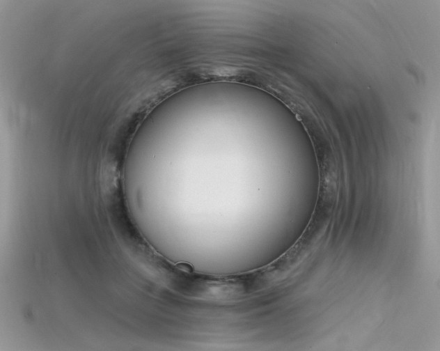 X0000115710555200911121428