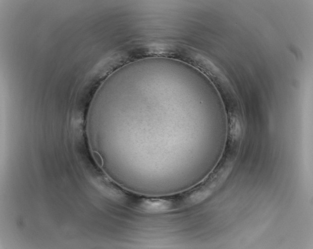 X0000115710557200911121428