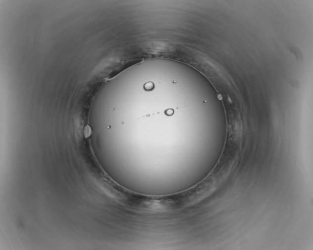 X0000115710558200911121428