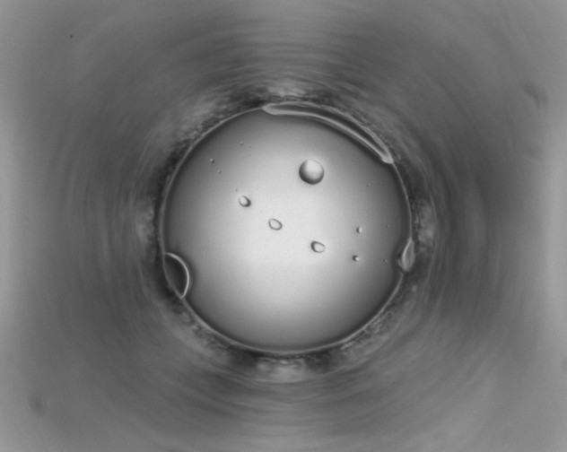 X0000115710559200911121428