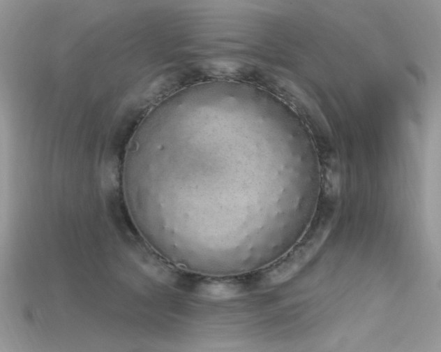 X0000115710561200911121428