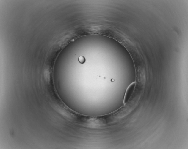 X0000115710562200911121428