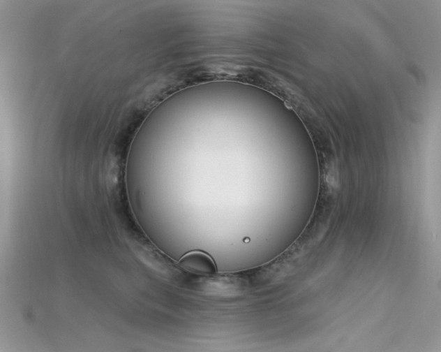 X0000115710567200911121428