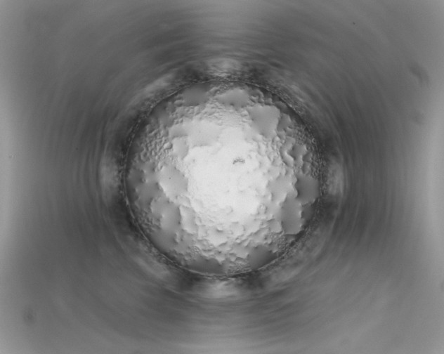 X0000115710569200911121428