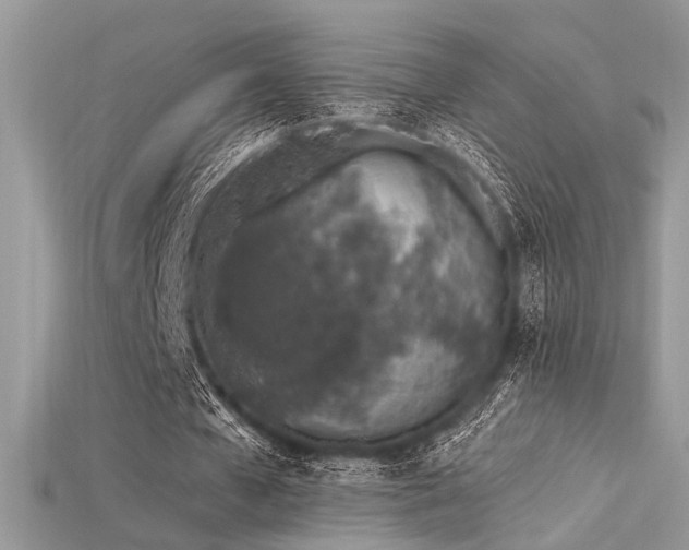 X0000115710577200911121427