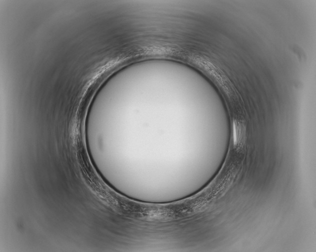 X0000115710579200911121427