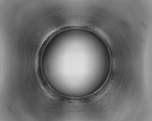 X0000115710580200911121427