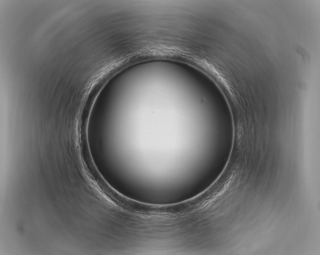 X0000115710581200911121427