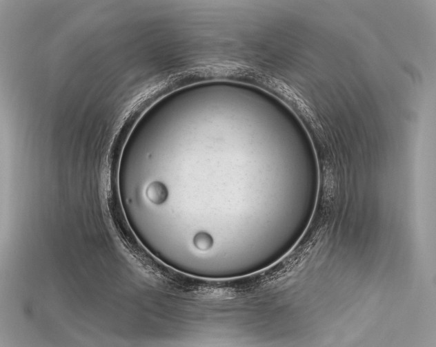 X0000115710582200911121427