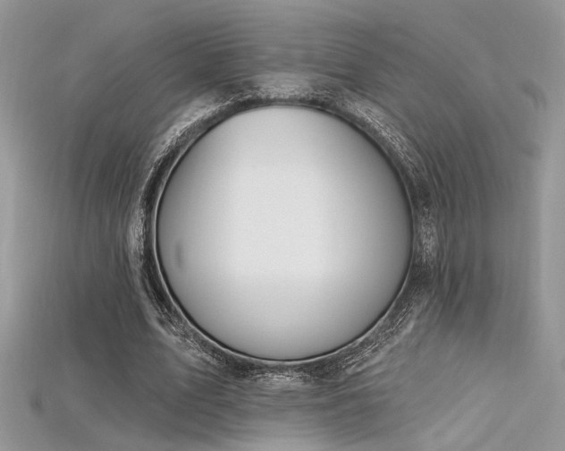 X0000115710583200911121427