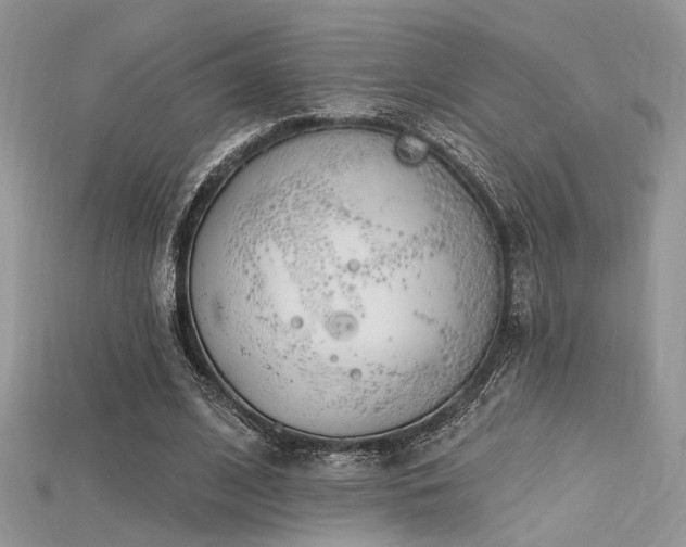 X0000115710584200911121427