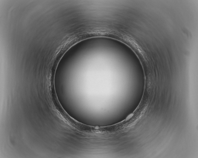 X0000115710585200911121427