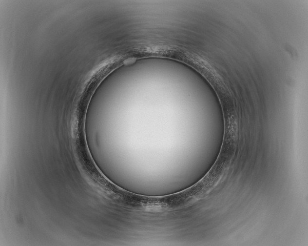 X0000115710587200911121427