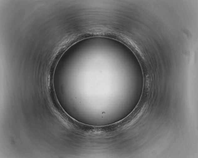 X0000115710589200911121427