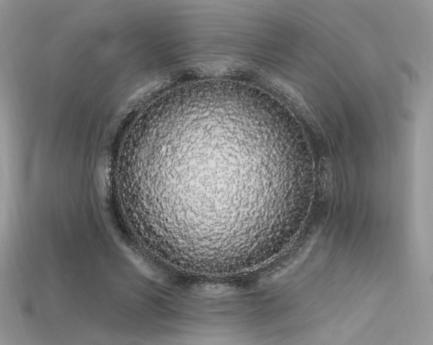 X0000115710590200911121427