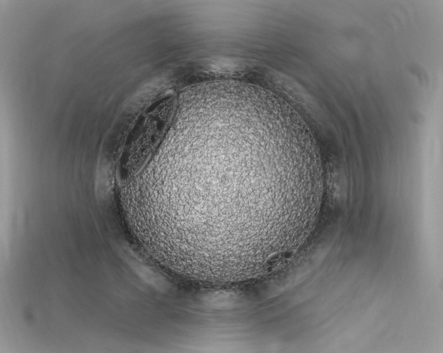 X0000115710593200911121427