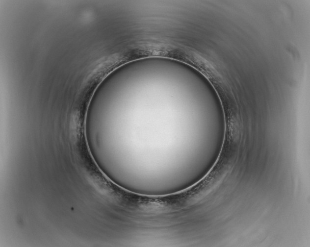 X0000115710594200911121427