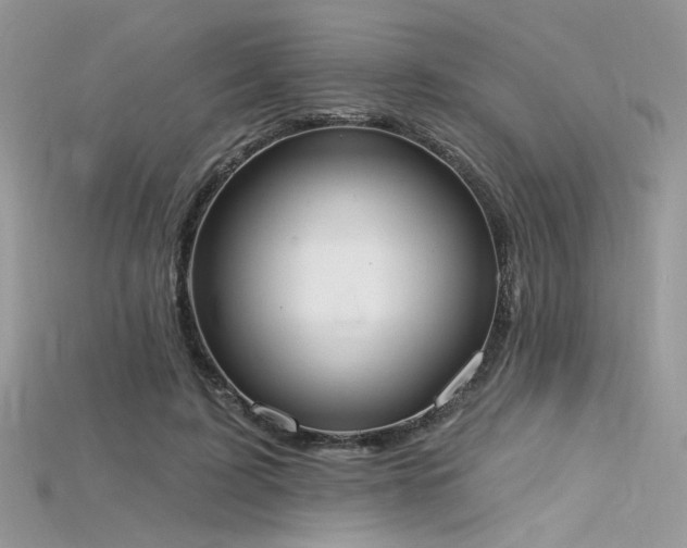 X0000115710595200911121427