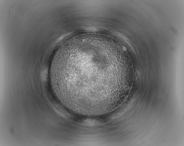 X0000115710596200911121427