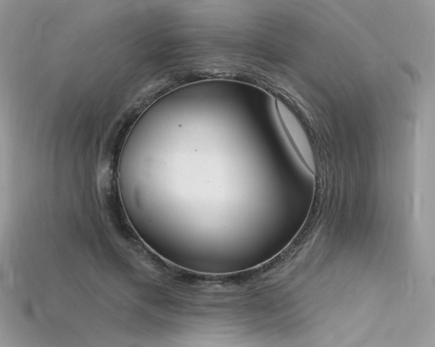 X0000115710597200911121427