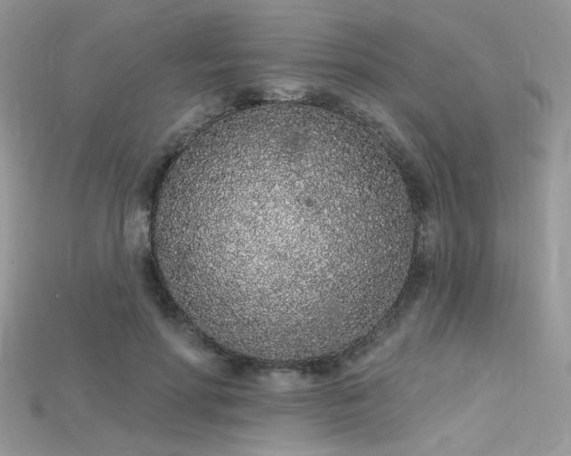 X0000115710598200911121427