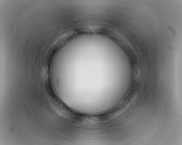 X0000115710599200911121427