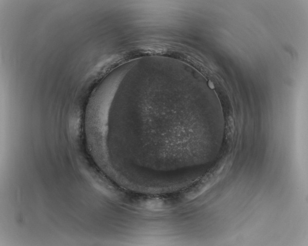 X0000115710600200911121427