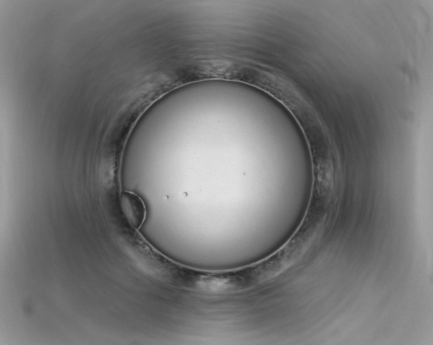 X0000115710602200911121427