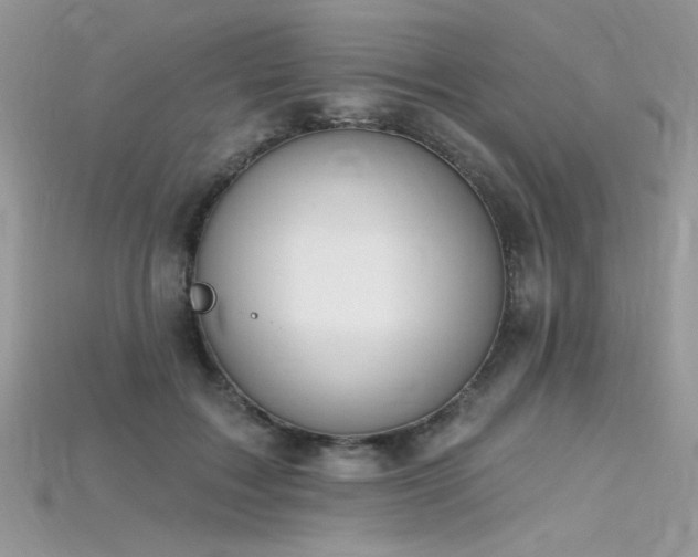 X0000115710603200911121427