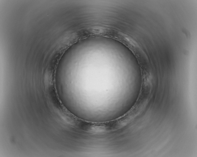 X0000115710606200911121427