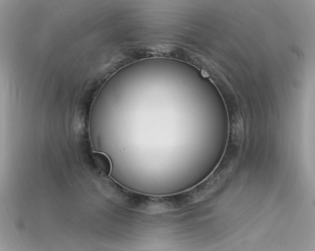 X0000115710608200911121427