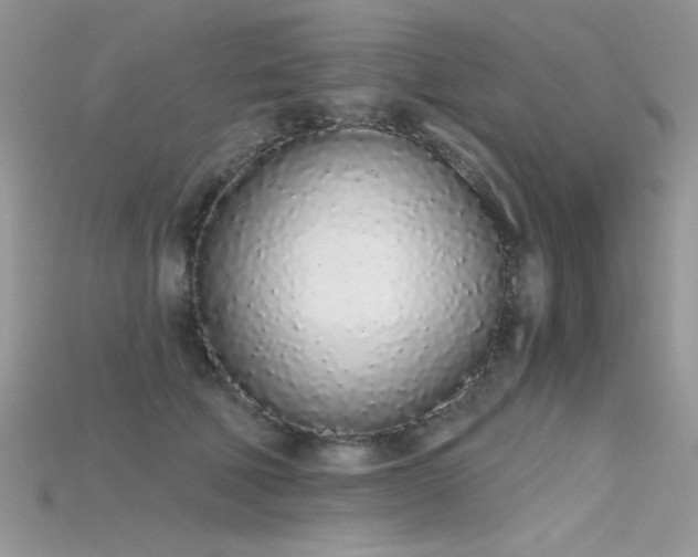 X0000115710610200911121427