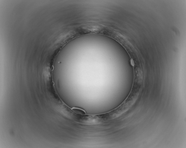 X0000115710612200911121427