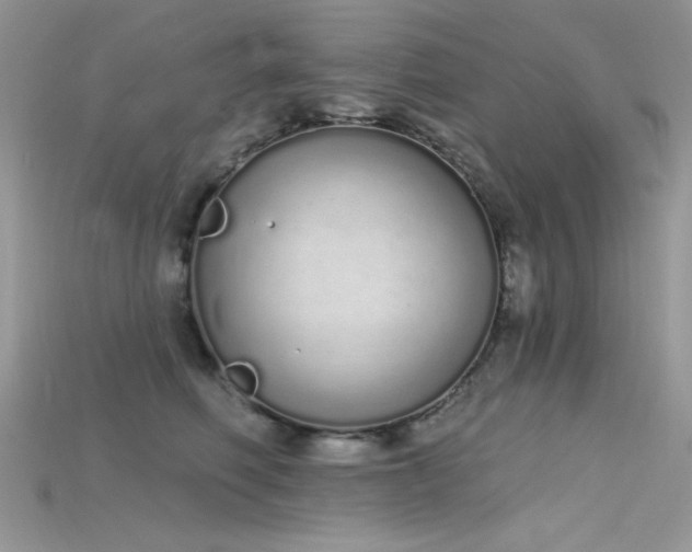 X0000115710614200911121427