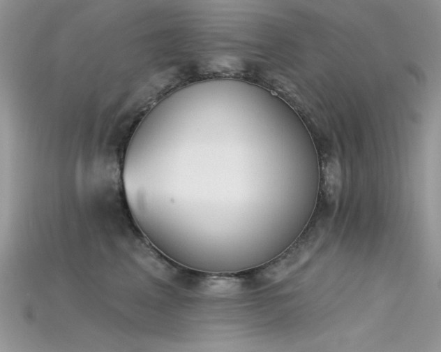 X0000115710617200911121427