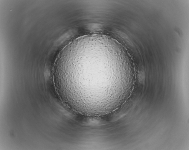 X0000115710618200911121427