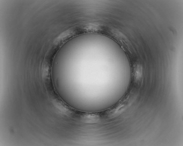 X0000115710619200911121427