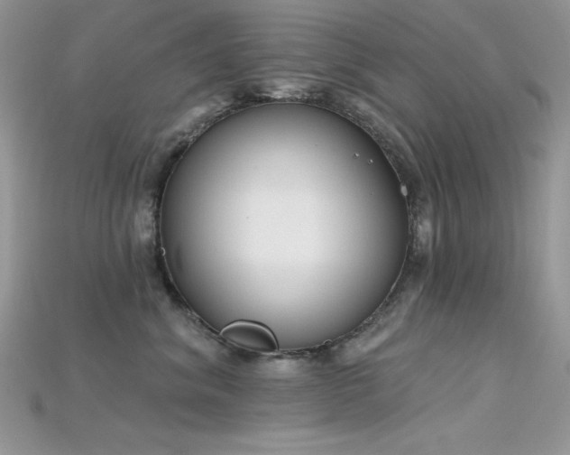 X0000115710620200911121427