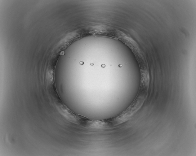 X0000115710621200911121427