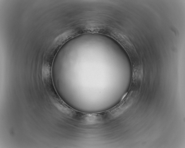 X0000115710623200911121427