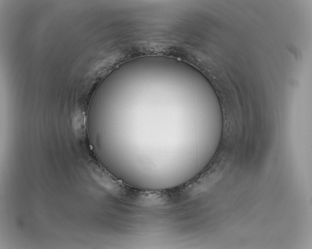 X0000115710624200911121427