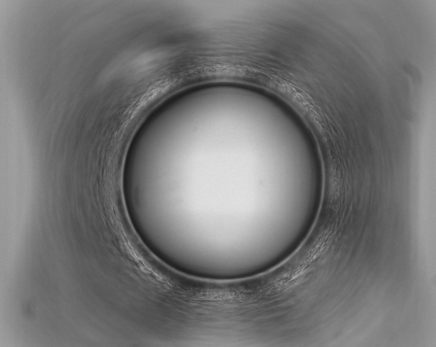 X0000115710625200911121426