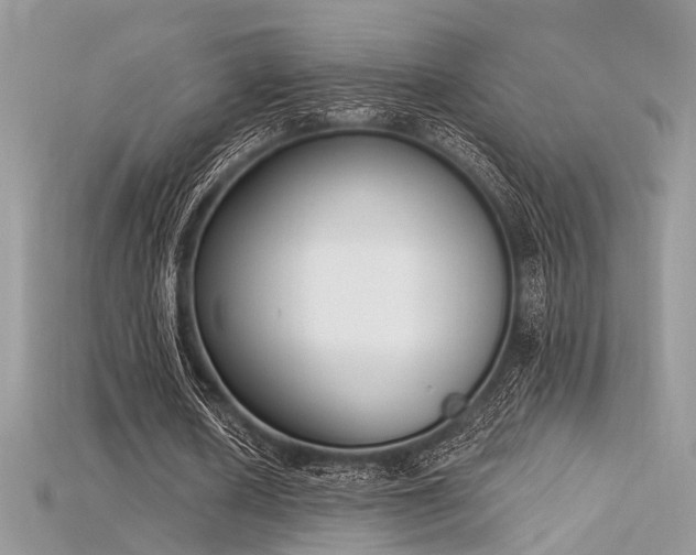 X0000115710626200911121426