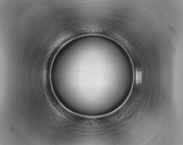 X0000115710627200911121426