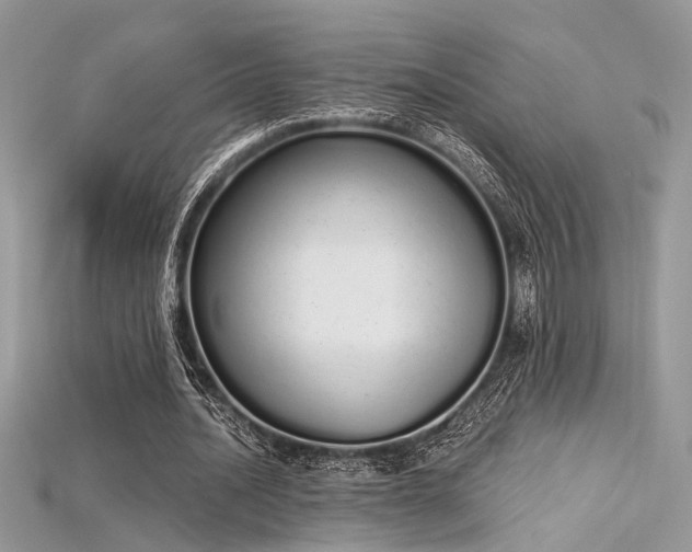 X0000115710628200911121426