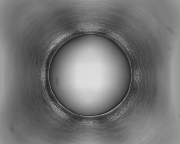 X0000115710629200911121426