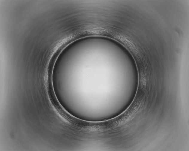 X0000115710630200911121426