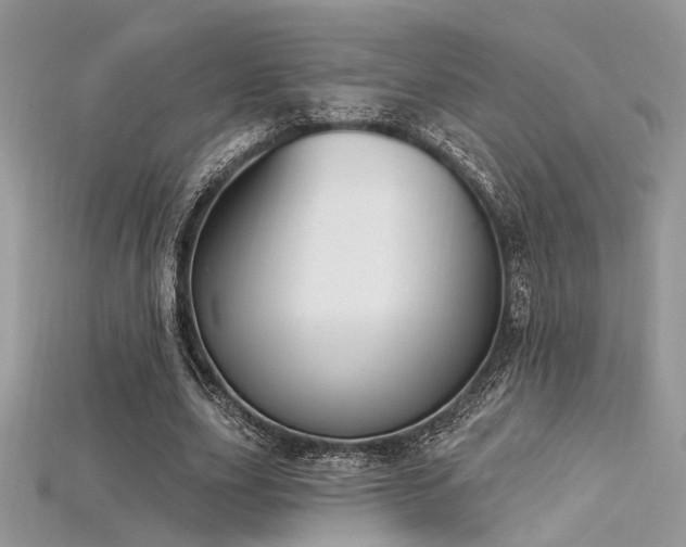 X0000115710631200911121426