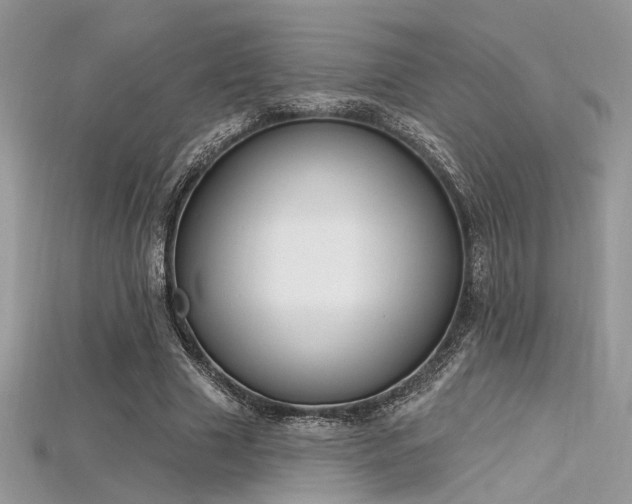 X0000115710633200911121426