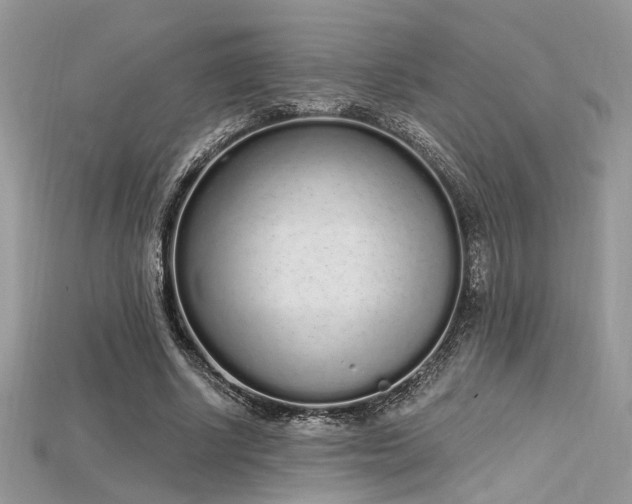 X0000115710634200911121426